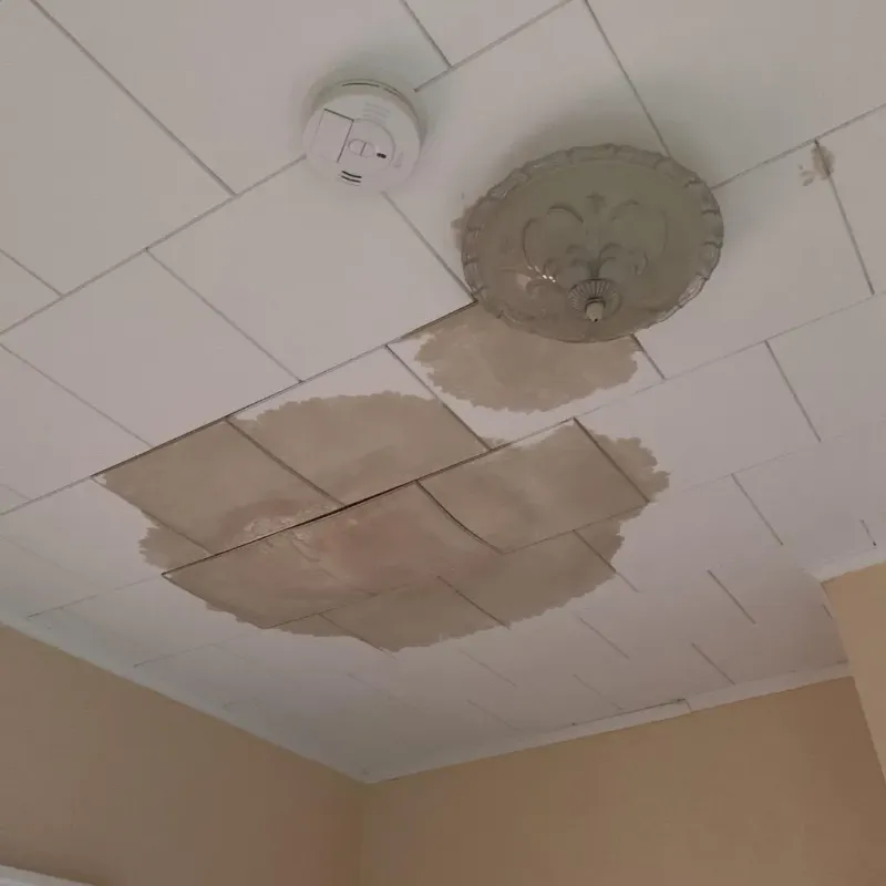 Ceiling Water Damage Repair in Jackson, WI