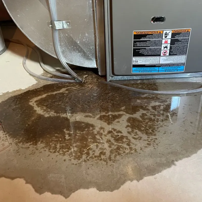 Pipe Burst and Leak Restoration in Jackson, WI